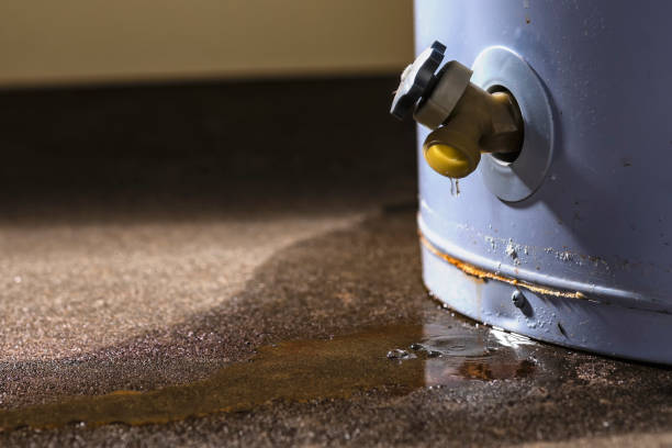 Best Sewage cleanup and water damage restoration  in Elberta, AL