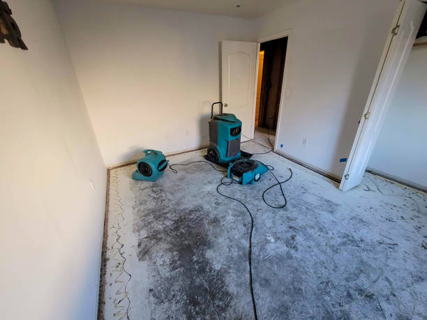 Best Carpet water damage restoration  in Elberta, AL