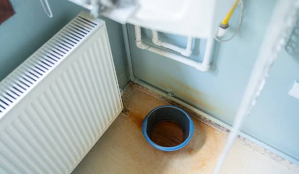 Best Basement water damage restoration  in Elberta, AL