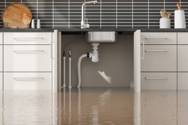 Best Water damage repair service  in Elberta, AL